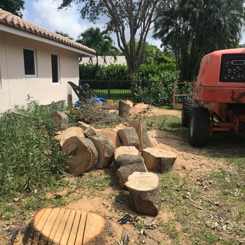 project